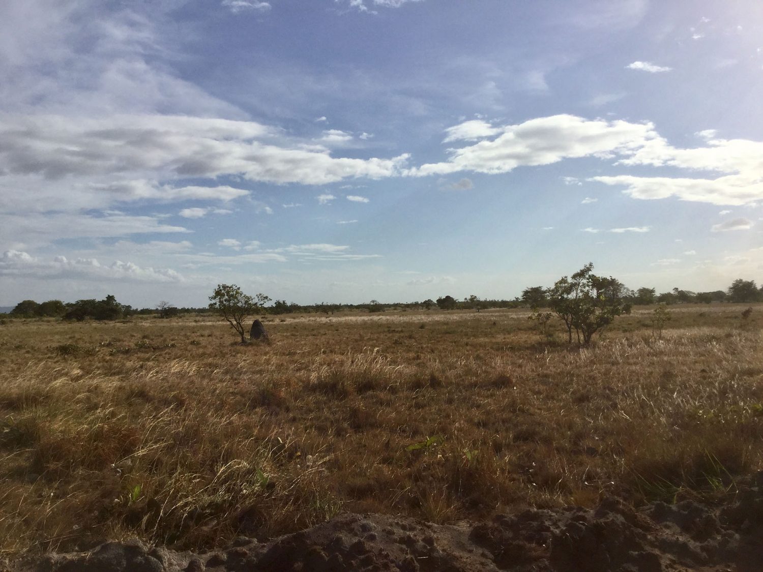 The dry savannah in Kumu Village, Central Rupununi, Region Nine. (Green Mango Media)