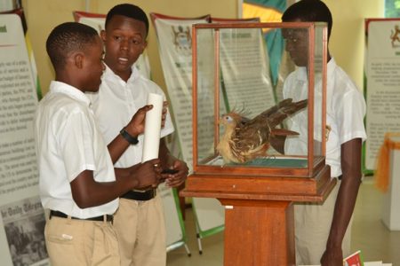 Secondary school students were yesterday given a tour of the National Archives as it commemorates its Annual Independence exhibition under the theme, “New frontiers of Nationhood.” In this DPI photo, students deliberate on one of the items.