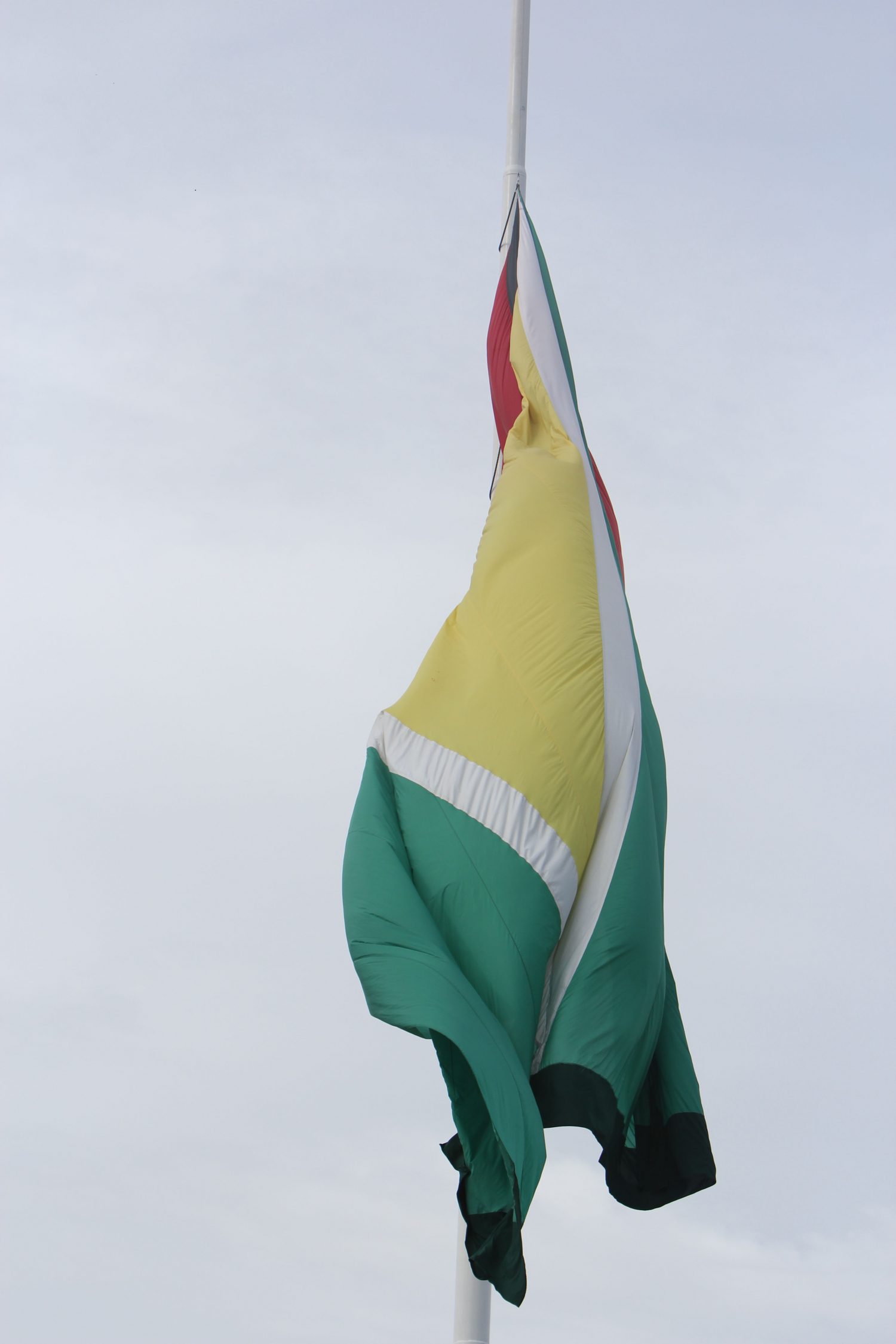 The darker green is evident at the bottom of the flag (Terrence Thompson photo)