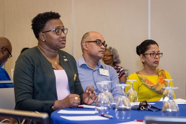 Minister in the Ministry of Public Infrastructure Annette Ferguson (left)  and others at the session