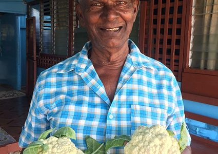 Farmer  Chandrika Rampal shows off a sample of his Cauliflower harvest