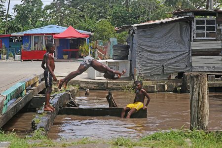  Boys in ‘B’ Field, Sophia, taking a dip in the ‘Blacka’ (Lamaha Canal) to cool down during the sweltering afternoon yesterday. (Photo by Terrence Thompson)