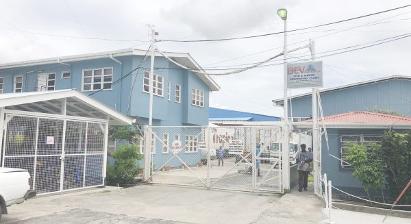 B.E.V Processors Inc’s Fish and Shrimp Processing Plant at the Houston wharf.
