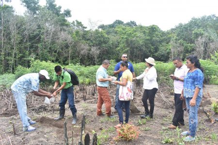 Minister within the Ministry of Indigenous Peoples’ Affairs Valerie Garrido-Lowe (third from right) and team during a visit to a cassava farm last week during which farmers were engaged and technical advice given. 