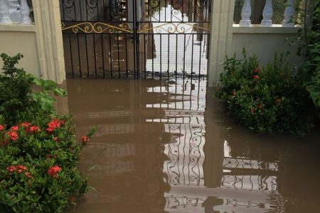 Flooding on Wakenaam on Sunday (Ministry of the Presidency photo)