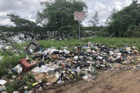 Garbage dumped on the western side of the Craig, East Bank Demerara Public Road, along with the sign that was erected to deter residents from dumping there. 
