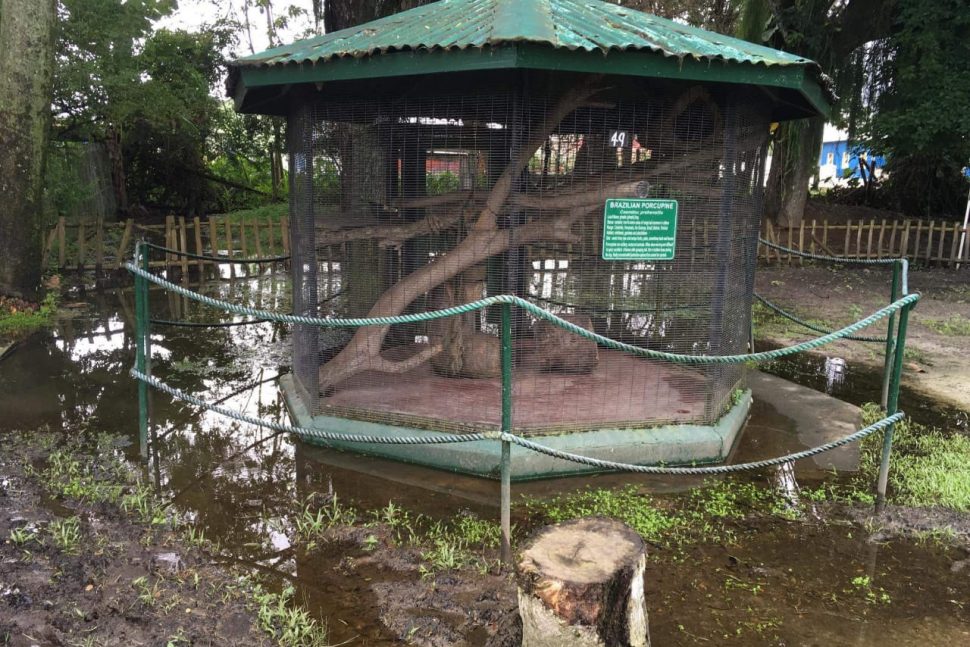 One of the cages in the zoo surrounded by floodwater yesterday