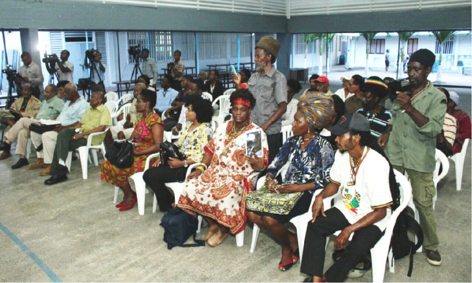 A section of the audience at the Guyana consultation last November