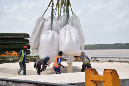 Loading rice for export