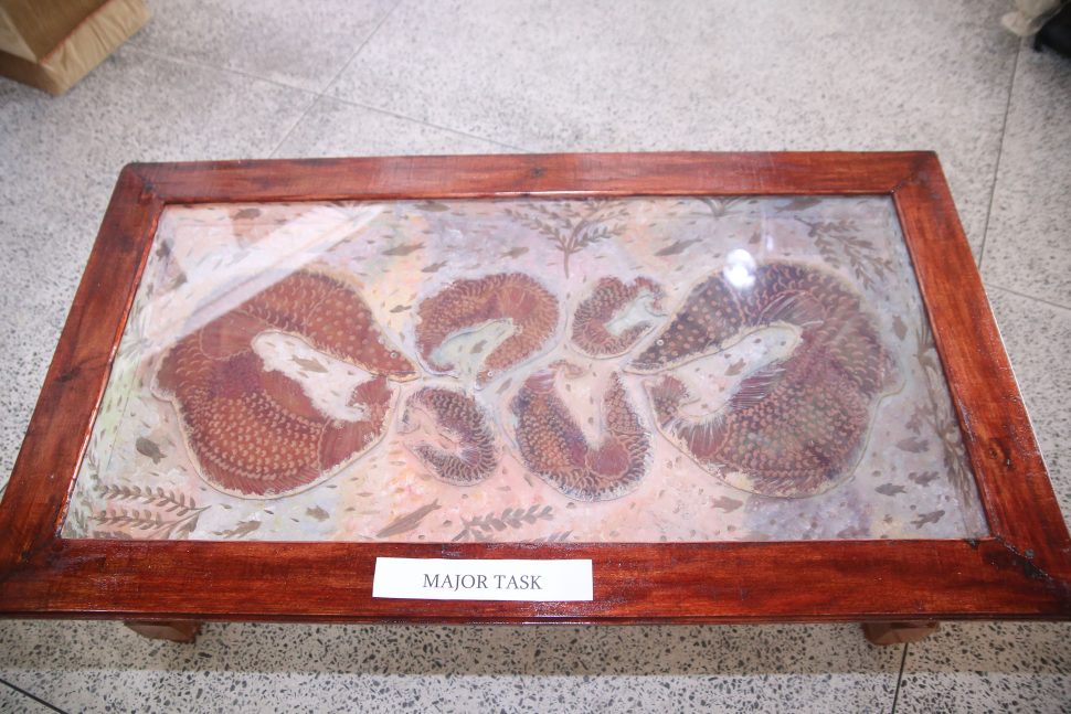 A glass encased tabletop featuring the Arapaima designed by Renella Hamlet (Photo by Terrence Thompson)