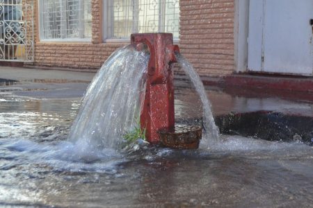 A hydrant on Robb Street that was restored by GWI during a previous rehabilitation
exercise. (Stabroek News file photo)