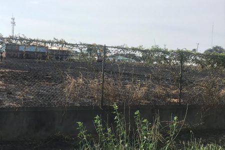 The burnt GPSU field yesterday.