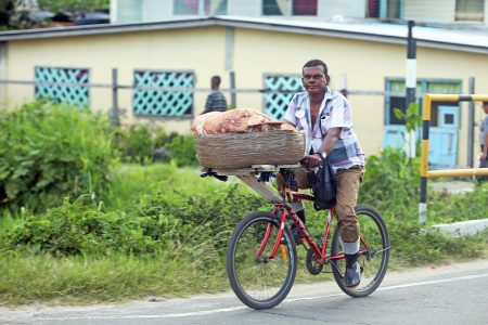 A bread vendor in the Industry/ Plaisance neighbourhood making his usual rounds yesterday. (Photo by Terrence Thompson)  