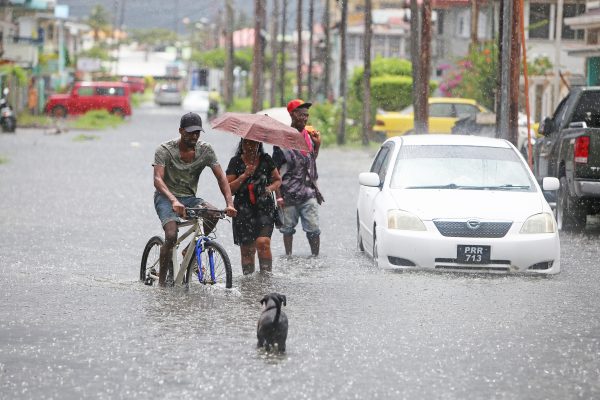 Pedestrians, a cyclist, a car and a dog all had difficulty navigating First Street, Alexander Village after yesterday’s heavy downpours. (Terrence Thompson photo)