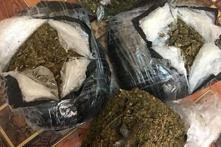 The cannabis found (Police photo)