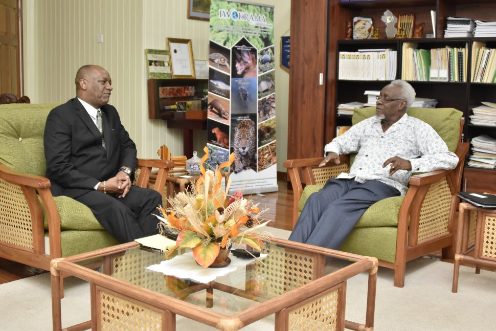 Minister Joseph Harmon (left) in discussion with former Prime Minister,  PJ Patterson. (Ministry of the Presidency photo)
