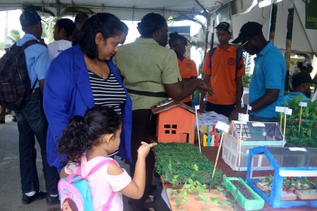 A spectator and her daughter viewing one of the model farms at NAREI’s Open Day.
