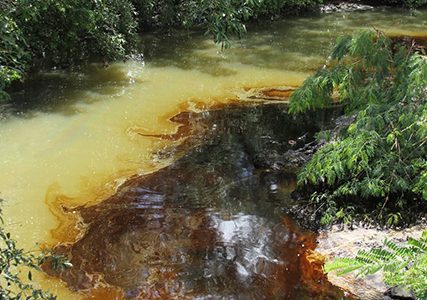 A section of the polluted river (Trinidad Guardian photo) 