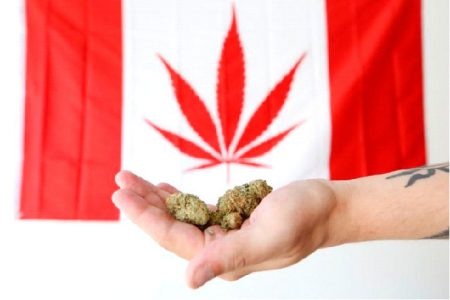 An employee holds marijuana in front of a modified Canadian flag with a marijuana leaf while posing in a photo illustration at a dispensary in Ottawa, Ontario, Canada, June 20, 2018. REUTERS/Chris Wattie