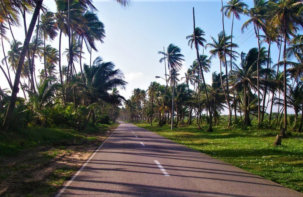 The Manzanilla Road. 