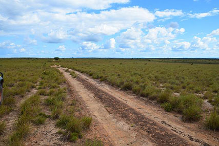 The trail linking the North and Central Rupununi (DPI photo)