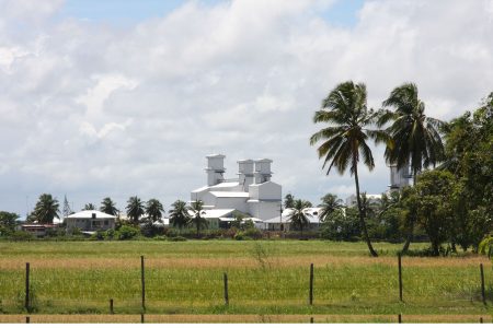 2019 Budget providing funding for upgrading rice infrastructure 