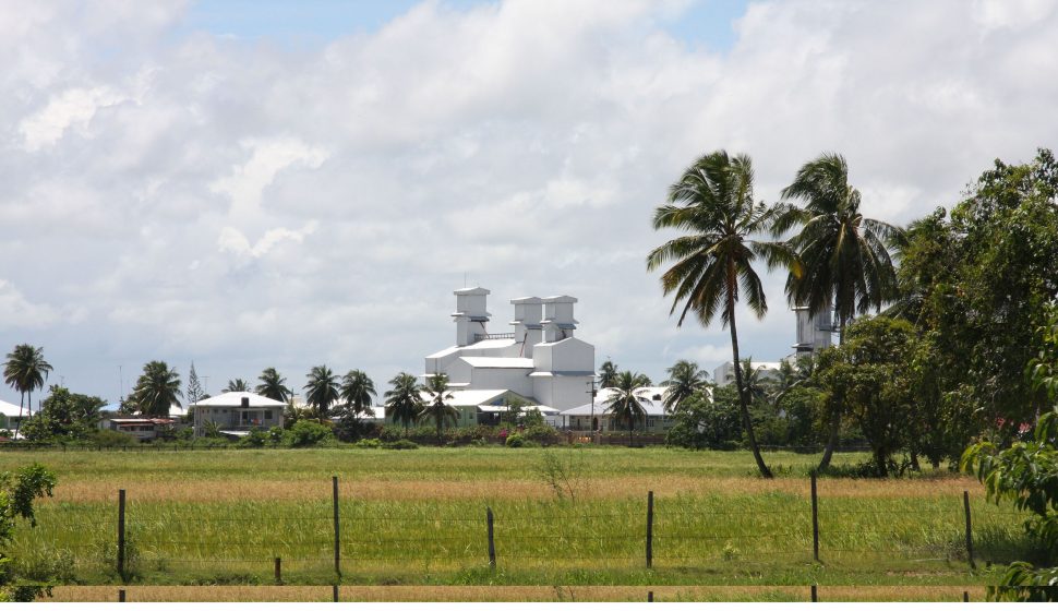 2019 Budget providing funding for upgrading rice infrastructure 