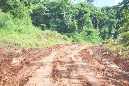 Part of the yet to be rehabilitated section of the road. (Department of Public Information photo)