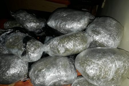 The marijuana found (Police photo)