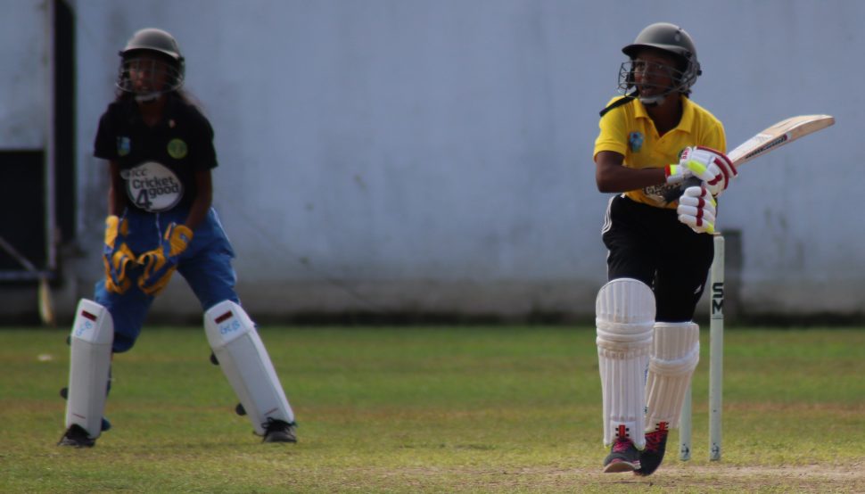 Lalitha Patterson goes on the attack during her innings of 40 not out (Romario Samaroo photo)