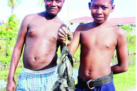These boys show off their catch after their successful ‘Feeling for fish’ trick in Beehive, ECD.  (Photo by Joanna Dhanraj)