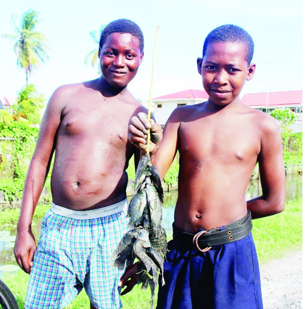 These boys show off their catch after their successful ‘Feeling for fish’ trick in Beehive, ECD.  (Photo by Joanna Dhanraj)