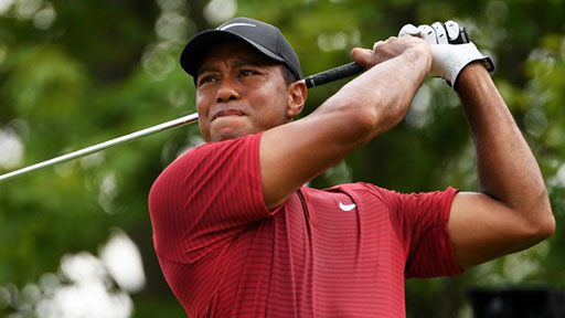 Coach Tiger Woods coming to your living room next year - Stabroek News