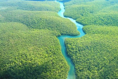 An aerial view of a section of the Amazon rainforest (Photo credit - Beautiful World Travel Guide)