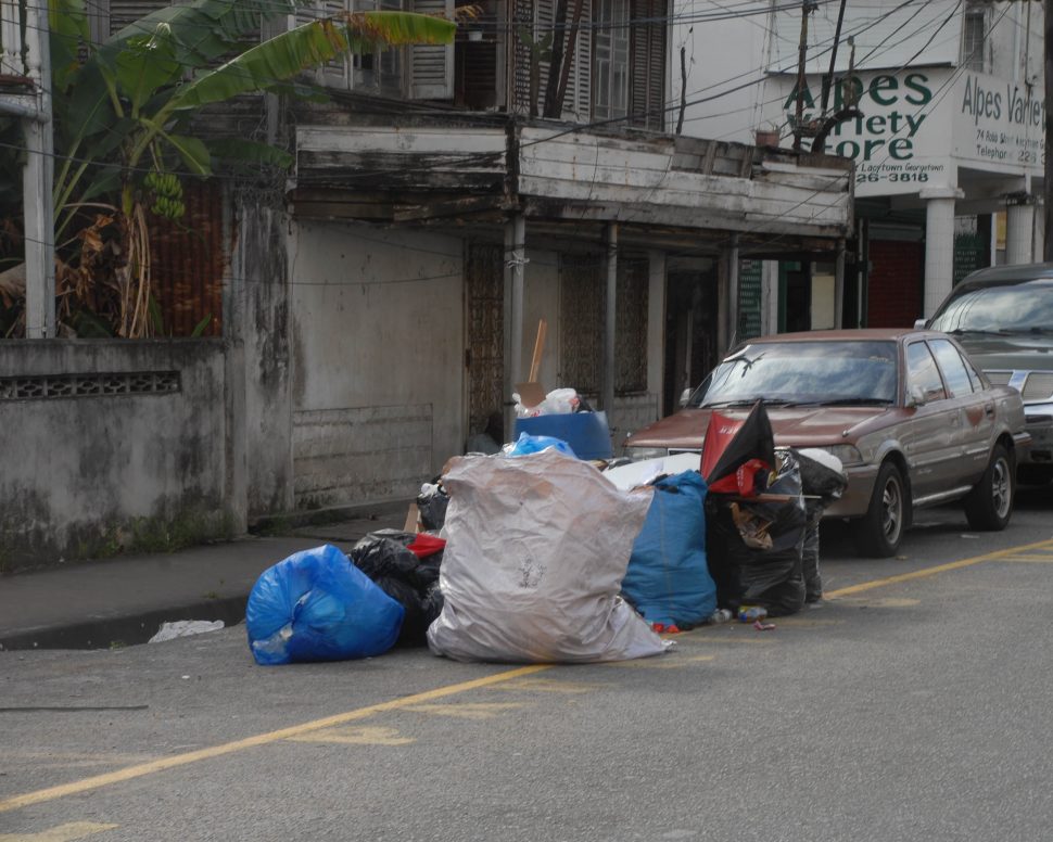 Garbage awaiting pickup in Robb Street earlier this week
