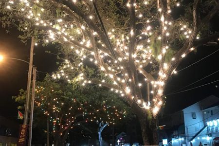 This luminous tree is a part of the Main Street Avenue light up done by Courts. (Photo by David Papannah)