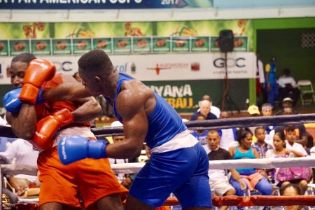  Desmond Amsterdam (blue) stalked and pounded out a unanimous decision victory against a game Aaron Prince of Trinidad. 

