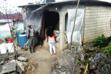 The yard in Berkshire District in Bethel Town, Westmoreland, Jamaica where 44-year-old Petrenia Grace McDonald was murdered on Wednesday.