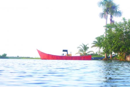 A cargo boat docked at Moruca in Region One 