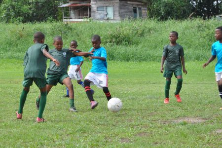 Scenes from the lopsided clash between Timehri Panthers [green] and Diamond Upsetters in the EBFA/Ralph Green U11 Football League yesterday at the Diamond Community Centre ground.
