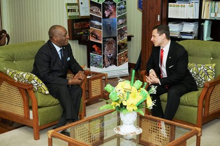 Minister of State Joseph Harmon (left) met with Charge d’Affaires of the US Embassy Terry Steers-Gonzalez last week Friday. (Ministry of the Presidency photo)
