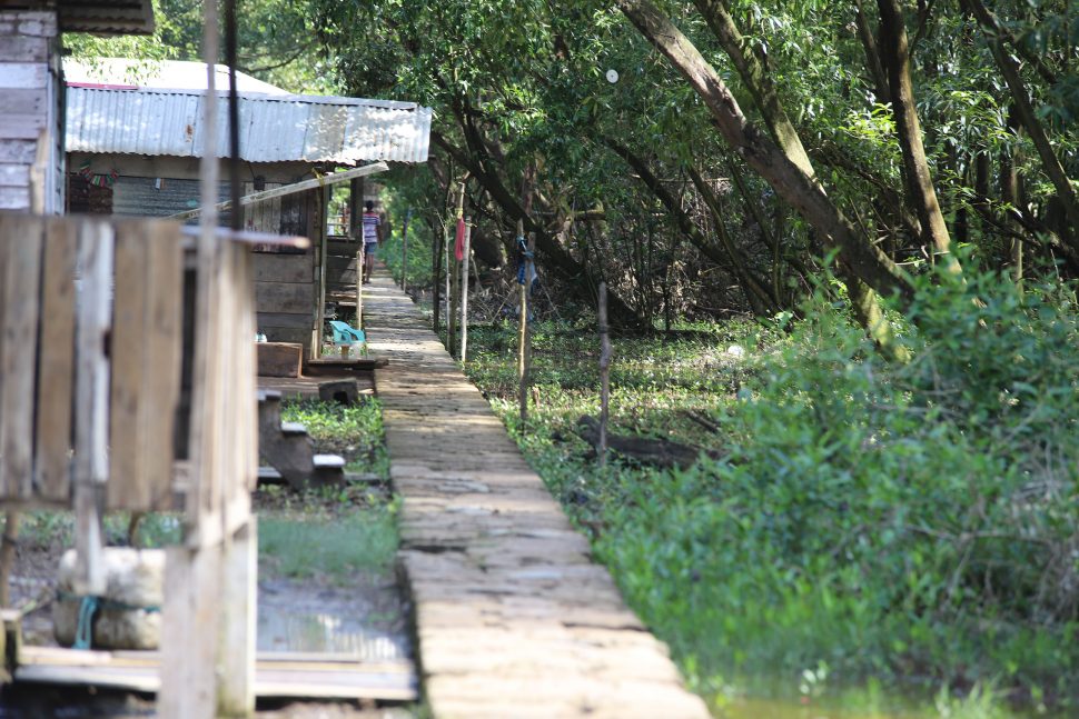 The jetty that residents use as a walkway to their homes. 