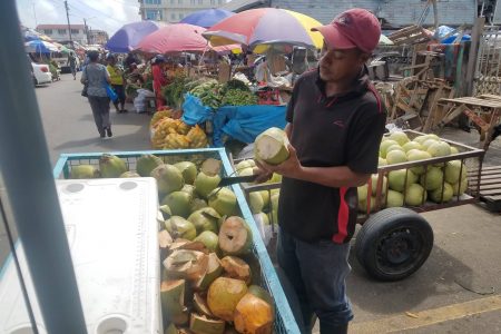 Roy preparing a coconut for one of his customers when he made a stop in Bourda Market. 