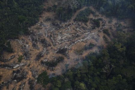 An aerial view of a deforested plot of the Amazon at the Bom Futuro National Forest in Porto Velho, Rondonia State, Brazil, September 3, 2015. REUTERS/Nacho Doce
