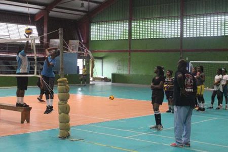 The female unit goes through a few drills which are monitored by Levi Nedd, President of the Volleyball Federation (Royston Alkins photo)
