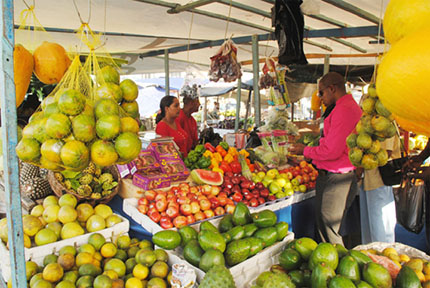 The volume of fresh fruit cultivated in Guyana augurs well for the development of a fresh fruit juice industry though limited manufacturing infrastructure remains a major challenge. 