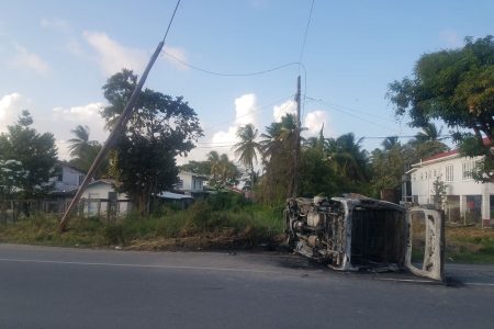 The charred minibus and the utility pole it crashed into.
