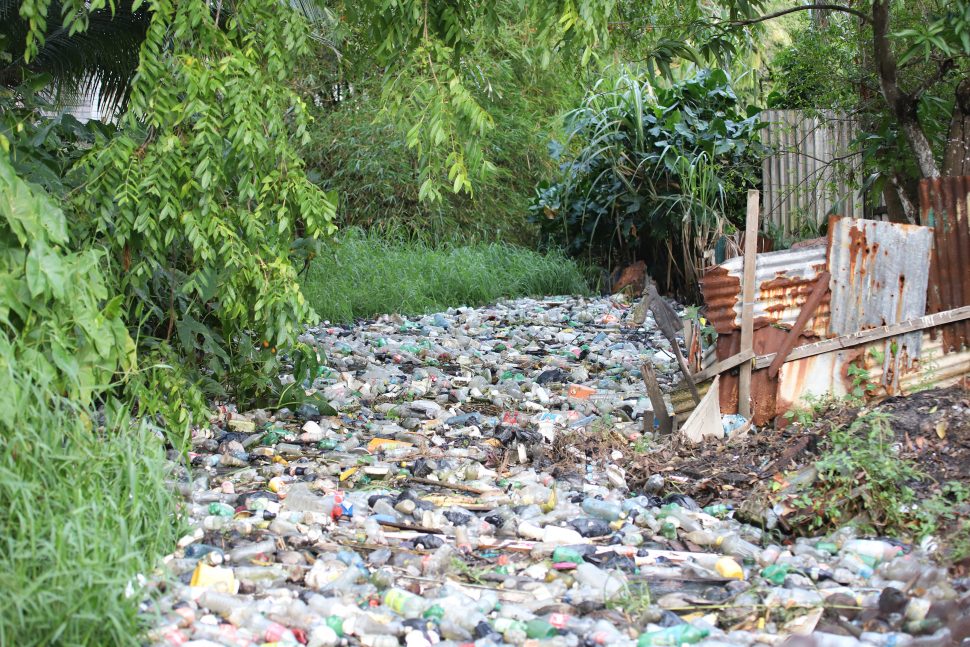 Guyhoc garbage backup: Garbage that has backed up in a canal behind homes in the Guyhoc area. Residents stated that cleaning works in the canal started a few weeks ago and garbage began to flow along the trench, however, the flow is being blocked by bushes at a section of the canal aback the residents’ homes. (Terrence Thompson photo)