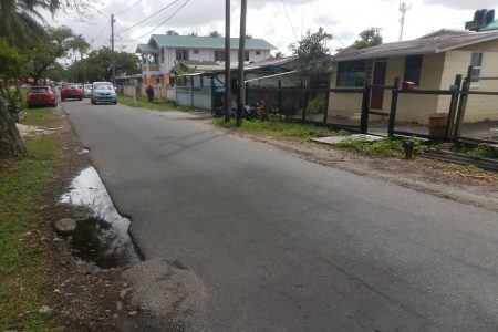 A section of the very narrow Takuba Road in Meadow Brook. Residents are calling for it to be converted into a one-way road due to its very narrow width. According to residents, the road is a hazard for drivers as it is difficult for traffic in both lanes to flow at the same time. When Stabroek News visited, drivers were seen going off the road at points so that vehicles approaching them from the opposite direction could pass freely. 