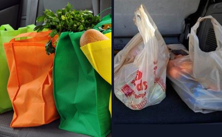 Use reusable shopping bags instead of plastic bags to support a green lifestyle and help to protect the environment. (www.luckyvitamin.com  photo)